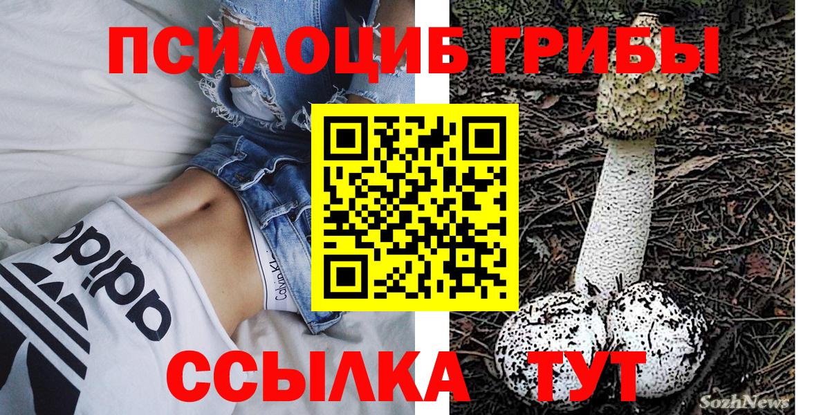 Псилоцибиновые грибы Psilocybine cubensis Уфа
