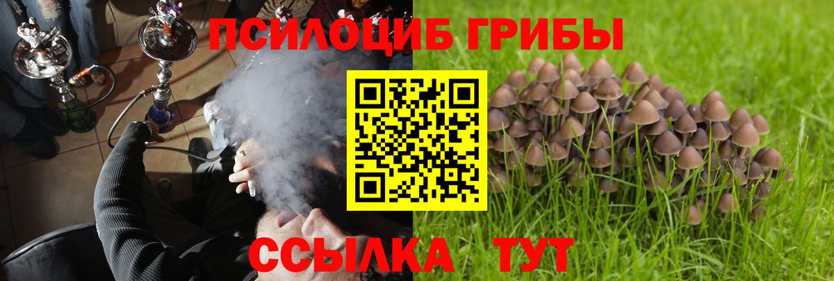 Уфа  Псилоцибиновые грибы Magic Shrooms  Вход с VPN 
